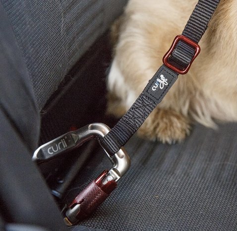 Curli-Car-Safety-Belt-S