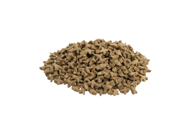 Premium Kat Sensitive - 10 kg