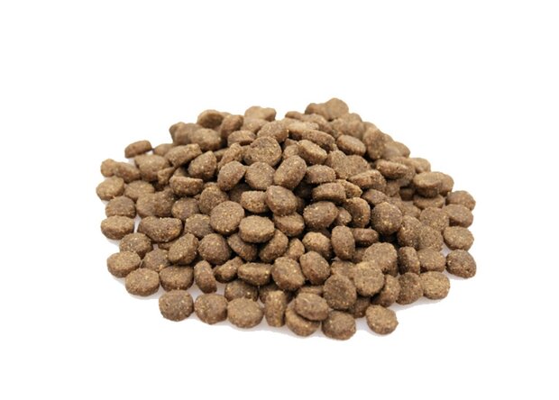 Premium Puppy Large Breed - 4 kg