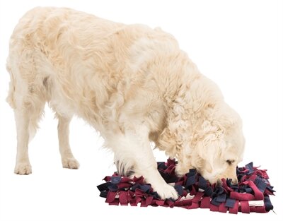 Trixie Activity Snuffelmat Assorti 50X34 CM
