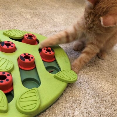 Nina Ottosson Puzzle &amp; Play Buggin Out Groen 35X26X4 CM