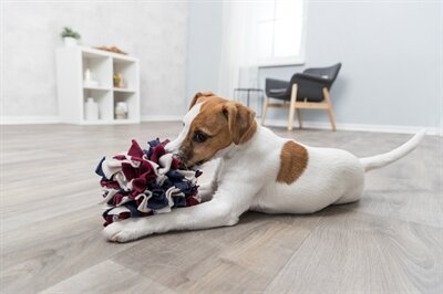 Trixie-Dog-Activity-schnueffelball-15X15X15-CM