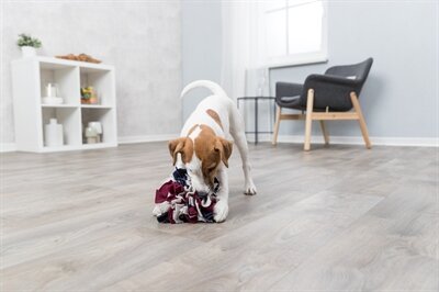 Trixie-Dog-Activity-schnueffelball-15X15X15-CM