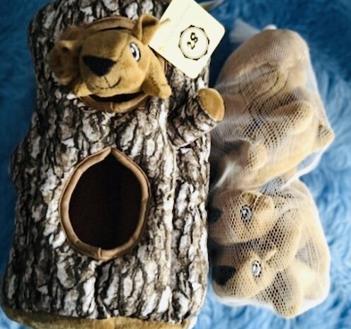 Eichh&ouml;rnchen versteck dich!