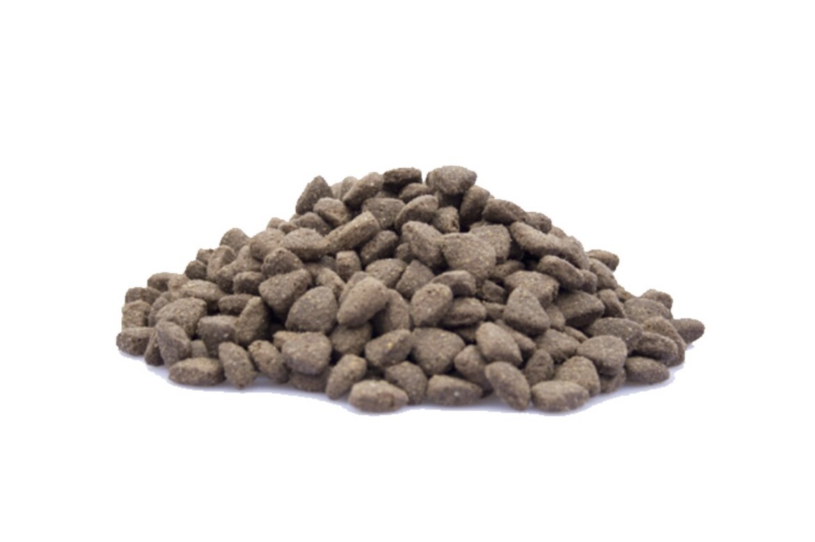 Hundefutter Hundefutter