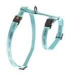 Martin sellier kattentuig frimousse turquoise Martin sellier kattentuig frimousse turquoise