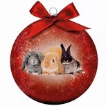 Plenty Gifts Kerstbal Frosted Konijnen Rood 10 CM Plenty Gifts Kerstbal Frosted Konijnen Rood 10 CM